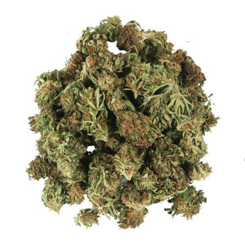 Seaside Special Smalls • 21% Total Cannabinoids