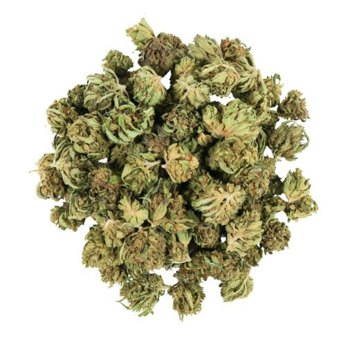 Blue Orchid Smalls • 15% Total Cannabinoids