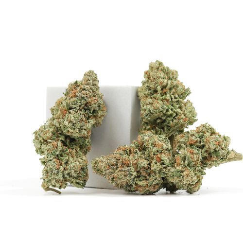 Indoor • OZ Kush • 18.8% Total Cannabinoids