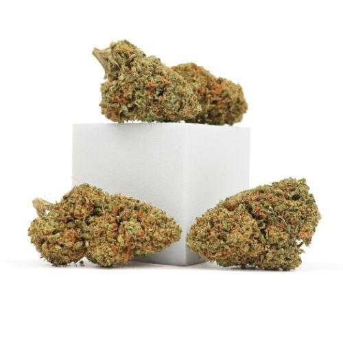 Greenhouse • Mothership • 19.7% Total Cannabinoids Archived Strains Tweedle Farms