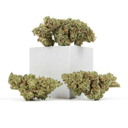 White CBG • 14.5% Total Cannabinoids CBD Flower Tweedle Farms
