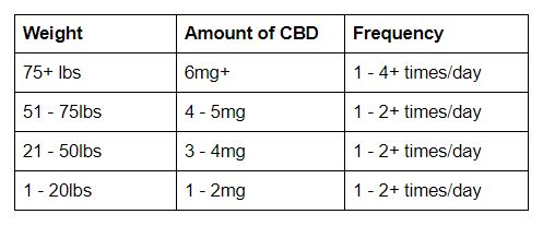 What Do I Need To Know About CBD Oil For Dogs? | Tweedle Farms ...